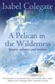 A Pelican in the Wilderness: Hermits, Solitaries and Recluses