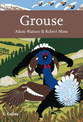 Grouse