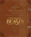 The Case of Beasts: Explore the Film Wizardry of Fantastic Beasts and Where to Find Them