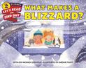 What Makes A Blizzard?