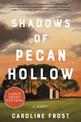 Shadows Of Pecan Hollow: A Novel  (Large Print)