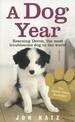 A Dog Year: Rescuing Devon, the most troublesome dog in the world