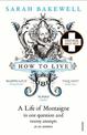 How to Live: A Life of Montaigne in one question and twenty attempts at an answer