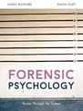 Forensic Psychology: Routes through the system