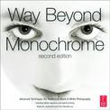 Way Beyond Monochrome: Advanced Techniques for Traditional Black & White Photography Including Digital Negatives and Hybrid Prin