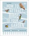 How to Attract Birds to Your Garden: Foods they like, plants they love, shelter they need