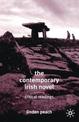 The Contemporary Irish Novel: Critical Readings