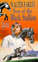 Son of the Black Stallion