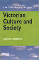 Victorian Culture and Society: The Essential Glossary