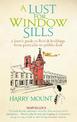 A Lust For Window Sills: A Lover's Guide to British Buildings from Portcullis to Pebble Dash