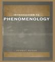 Introduction to Phenomenology