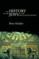 The History of the Jews in the Greco-Roman World: The Jews of Palestine from Alexander the Great to the Arab Conquest