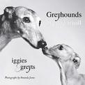 Greyhounds Big And Small: Iggies and Greyts