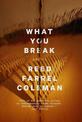 What You Break: A Gus Murphy Novel