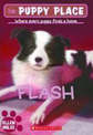 Flash (the Puppy Place #6)