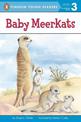 Baby Meerkats