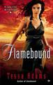 Flamebound: A Lone Star Witch Novel