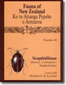 Fauna of New Zealand Number 48: Scaphidiinae : (Insecta:Coleoptera:Staphylinidae)