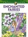 Creative Haven Enchanted Fairies Coloring Book