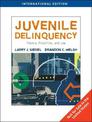 Juvenile Delinquency: Theory, Practice, and Law, International Edition