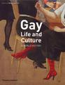 Gay Life and Culture: A World History