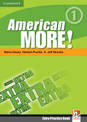 American More! Level 1 Extra Practice Book