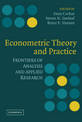 Econometric Theory and Practice: Frontiers of Analysis and Applied Research