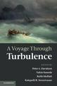 A Voyage Through Turbulence