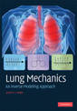 Lung Mechanics: An Inverse Modeling Approach