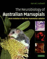 The Neurobiology of Australian Marsupials: Brain Evolution in the Other Mammalian Radiation