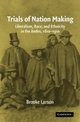 Trials of Nation Making: Liberalism, Race, and Ethnicity in the Andes, 1810-1910