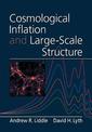 Cosmological Inflation and Large-Scale Structure