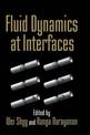 Fluid Dynamics at Interfaces