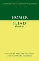 Homer: Iliad Book VI