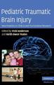 Pediatric Traumatic Brain Injury: New Frontiers in Clinical and Translational Research