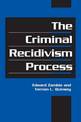 The Criminal Recidivism Process