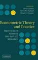 Econometric Theory and Practice: Frontiers of Analysis and Applied Research