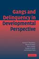 Gangs and Delinquency in Developmental Perspective