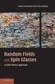 Random Fields and Spin Glasses: A Field Theory Approach