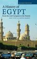 A History of Egypt: From the Arab Conquest to the Present