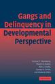 Gangs and Delinquency in Developmental Perspective