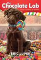 The Chocolate Lab (the Chocolate Lab #1): Volume 1