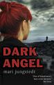 Dark Angel: Anders Knutas series 6