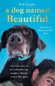 A Dog Named Beautiful: The true story of the Labrador who taught a Marine to love life again