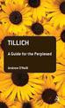 Tillich: A Guide for the Perplexed