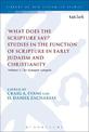 What Does the Scripture Say?' Studies in the Function of Scripture in Early Judaism and Christianity: Volume 1: The Synoptic Gos