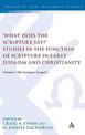 What Does the Scripture Say?' Studies in the Function of Scripture in Early Judaism and Christianity: Volume 1: The Synoptic Gos