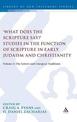 What Does the Scripture Say?' Studies in the Function of Scripture in Early Judaism and Christianity: Volume 2: The Letters and