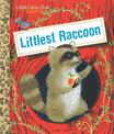 Littlest Raccoon