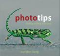 Phototips: Composing Nature